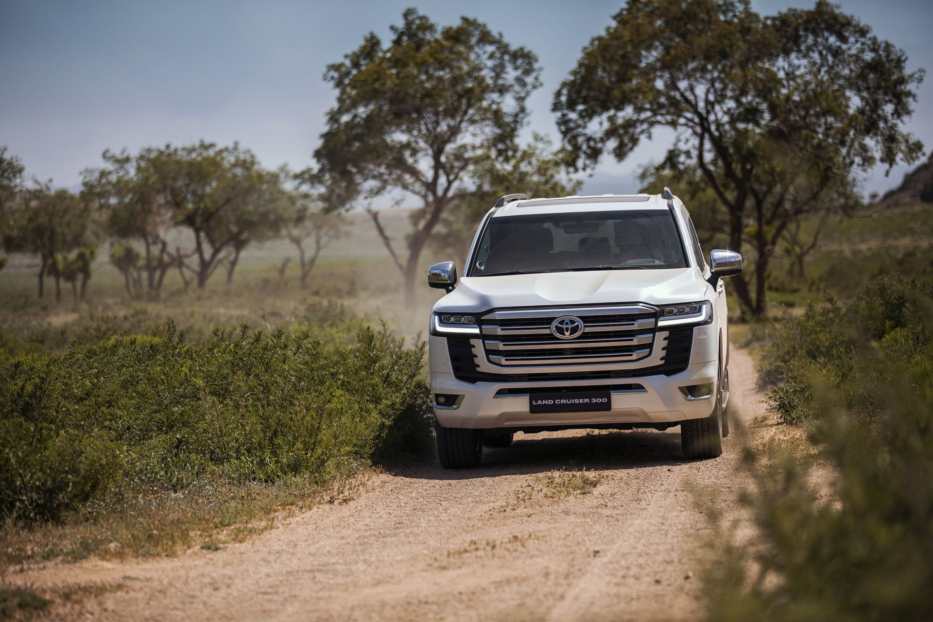 Land Cruiser 300