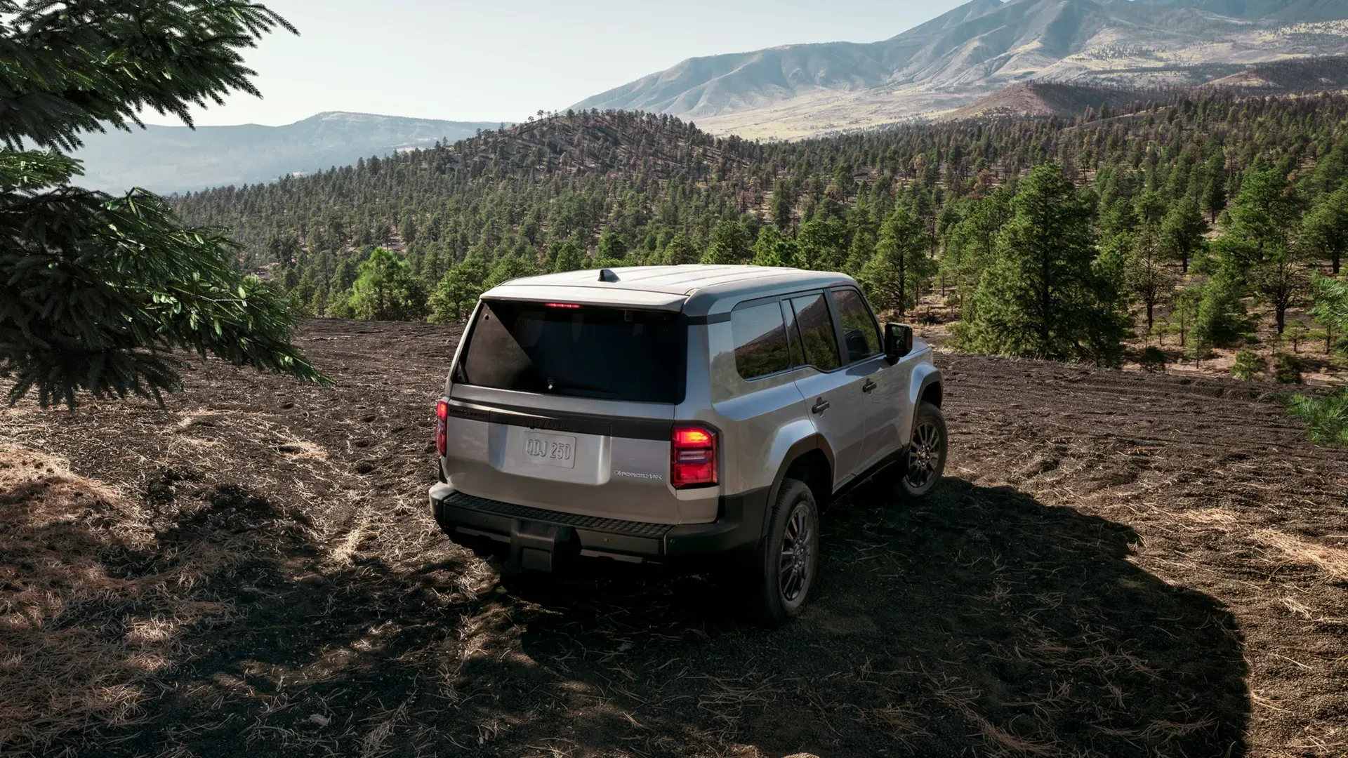 Land Cruiser 250